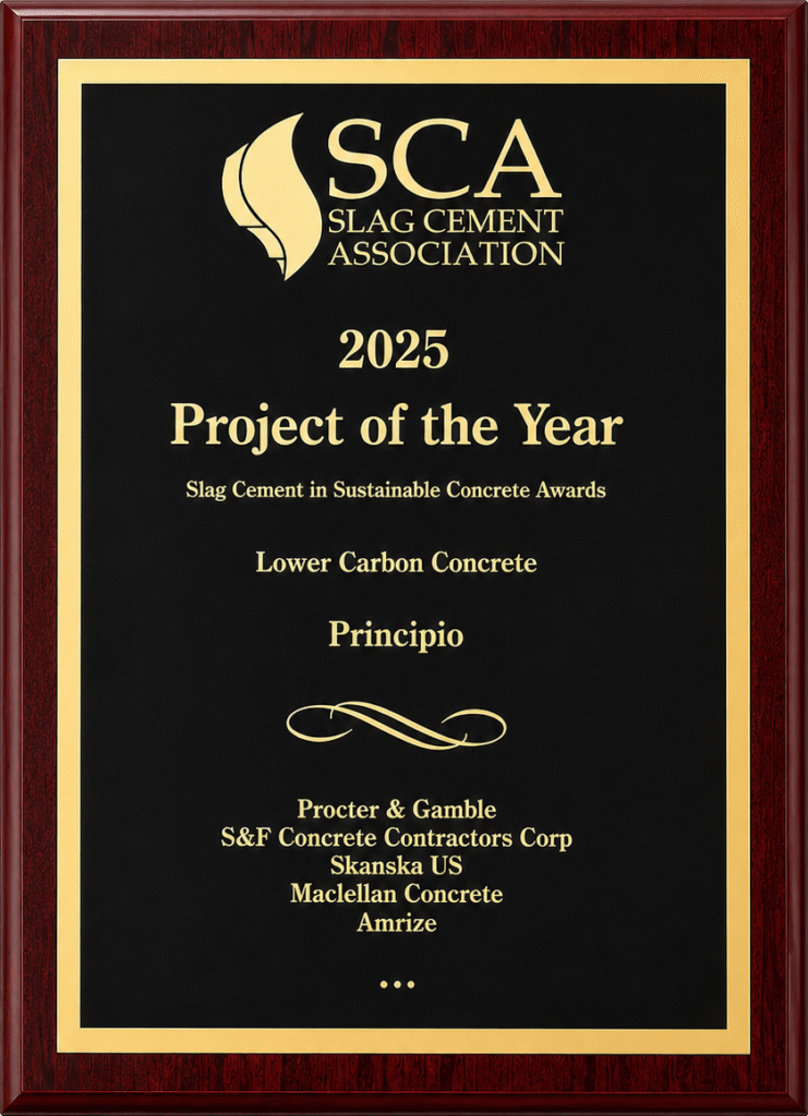 SCA: 2025 Project of the Year